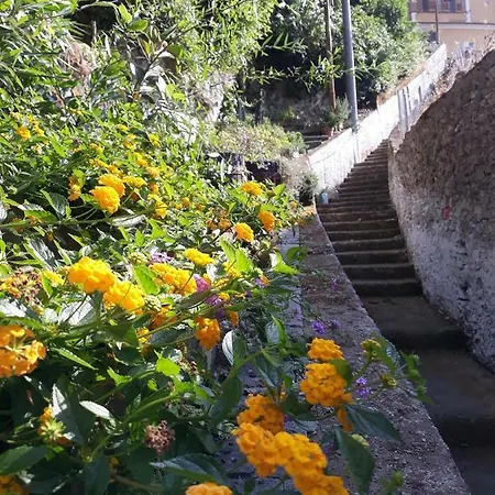 Casa Clotide Guest house